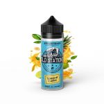 Steam-Train-Flavor-Shot-Old-Stations-BBW-120ml-Tropical-Cooler-120ml