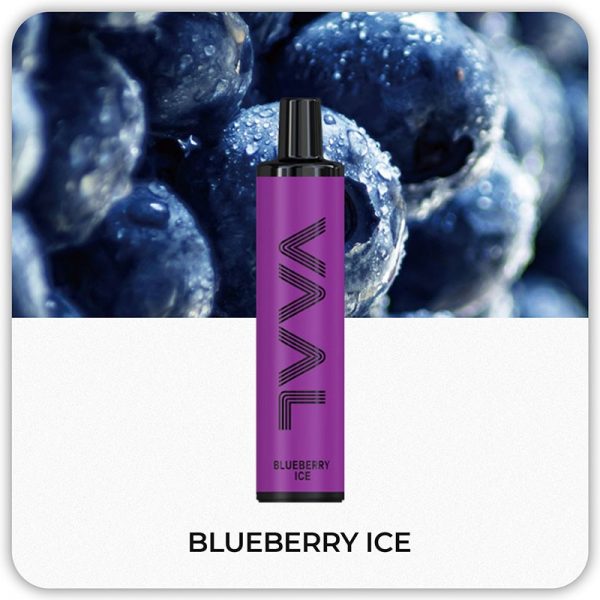 vaal-500-blueberry-ice-disposable-500-2ml-2
