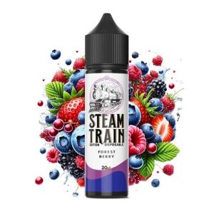 Steam Train Disposable Edition Forest Berry 20ml/60ml