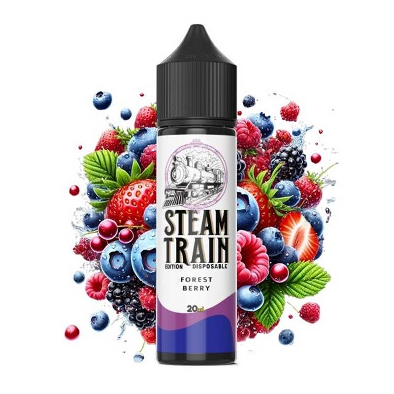 Steam Train Disposable Edition Forest Berry 20ml/60ml