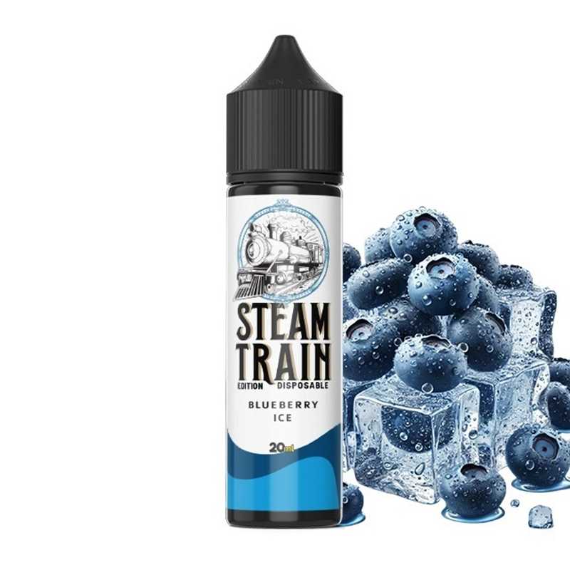 Steam Train Disposable Edition Blueberry Ice 20ml/60ml